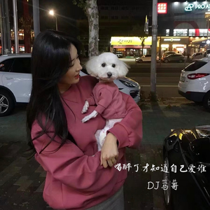 日韩在线中文字幕
