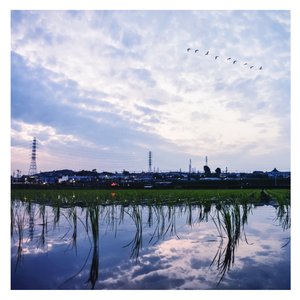 日韩在线中文字幕
